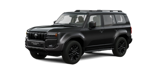 LAND CRUISER PRADO M